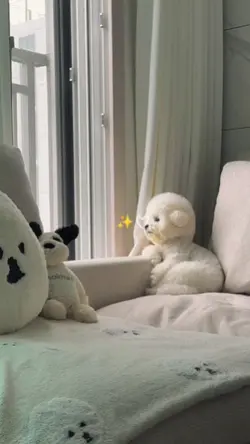 Pet memories