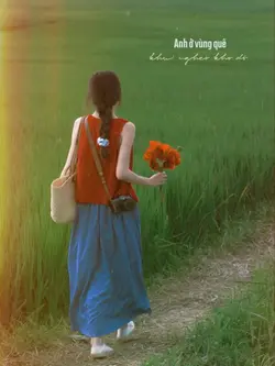 MẪU LYRIC