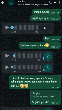 vn suara asli
