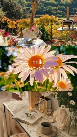 hello spring