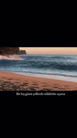 şablon
