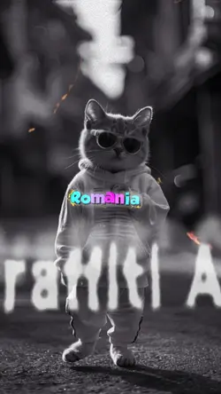 Made in romania