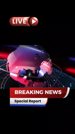 News Template