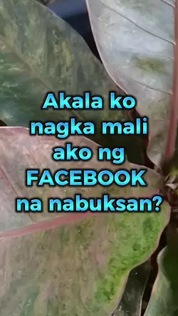 photolab pa more..