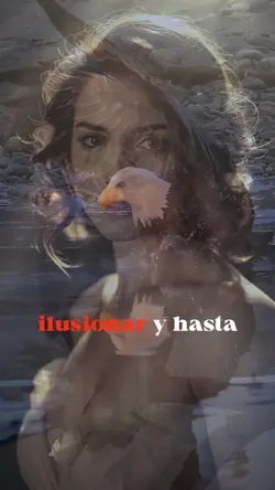 no es necesario 
