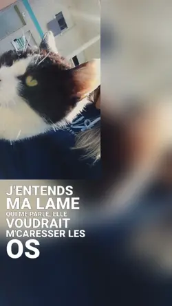 ma lame 