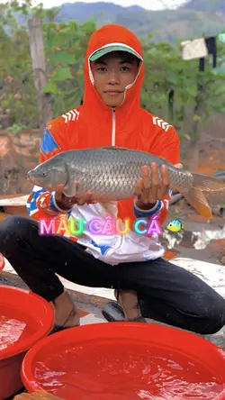 Mẫu câu cá 🐠