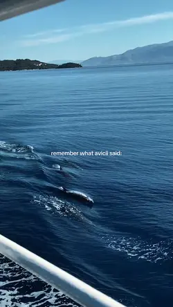 what avicii said: