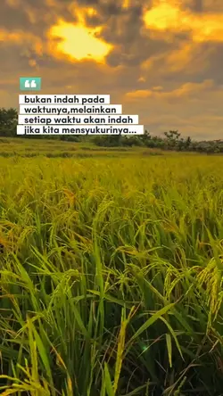 Quotes