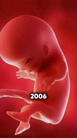 2006 vs 2026