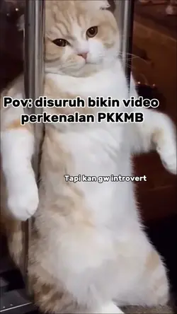 Perkenalan maba