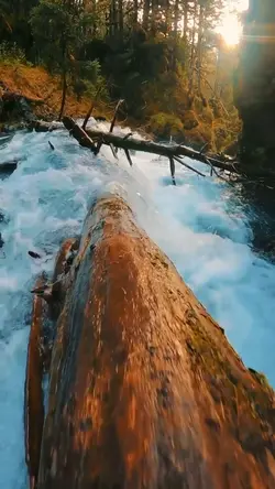 Adventures 5 Clips