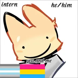 intern x agent secre