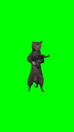 Cat Shooting Meme