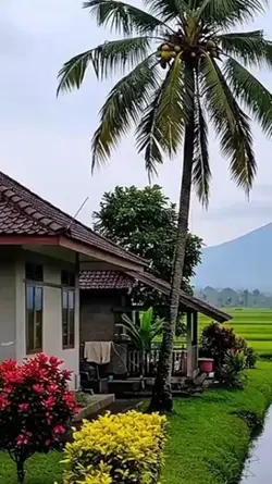 ADEMBro