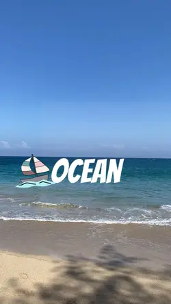 vlog story