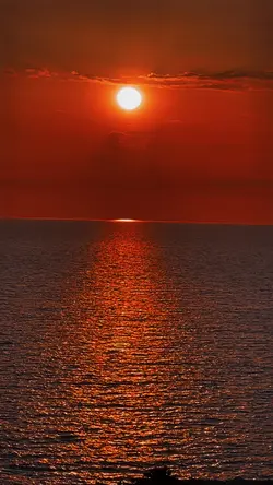 Sun Filter 