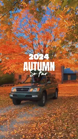 Autumn Recap
