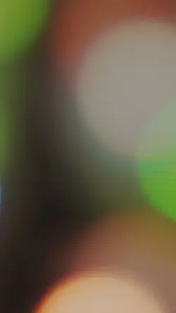 yeni şablon 