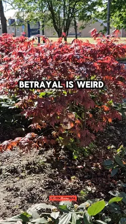 Betrayal is weird