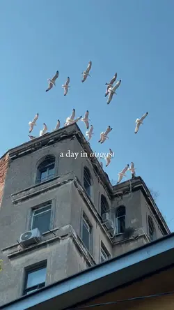 A day in August