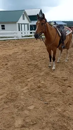 My handsome boy