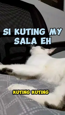 KUTING KUTING 