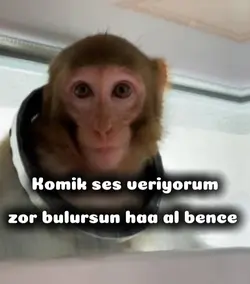 alsan iyi edersin