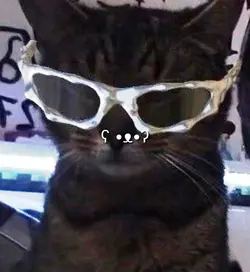 KITTYYYYYYYYYYYY