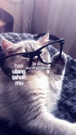 JJ HARI ULANG TAHUN