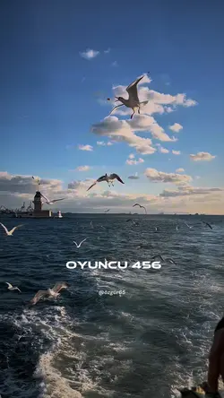 Oyun sona erdi..