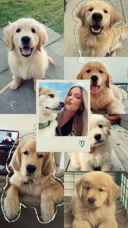 COLLAGE DE PHOTOS