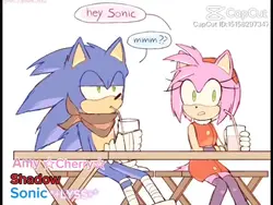 voice ovr