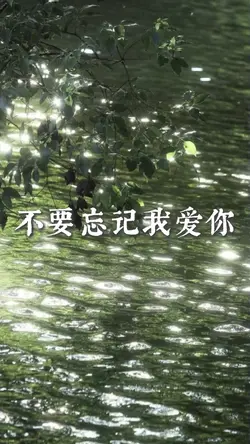 不要忘记我爱你.