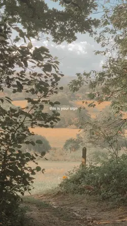 Slow peaceful life