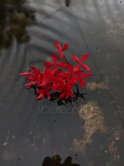 কি মনে হয়???