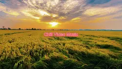 Chill Video Music