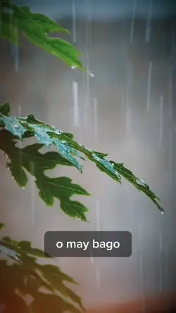 May bagyo ba