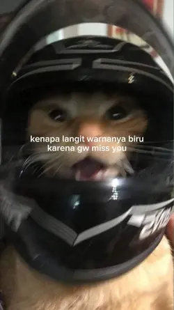 apalah