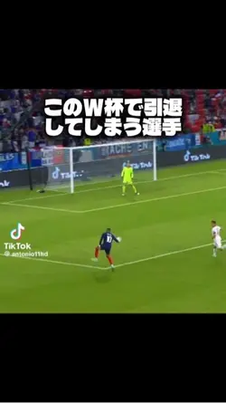 このW杯で引退してしまう選手