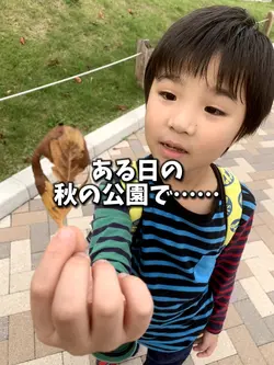 aiビデオ変身