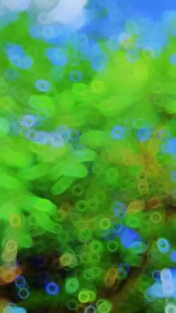 Slow motion template