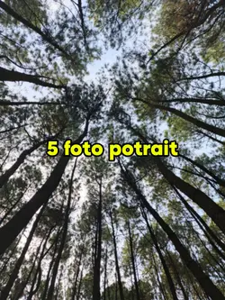 5 foto potrait