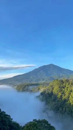 filter HD jernih 