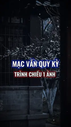 Trình Chiếu + Màu