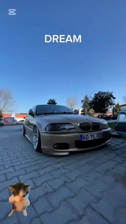 DREAM
