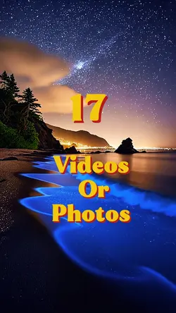 17 videos or photos 