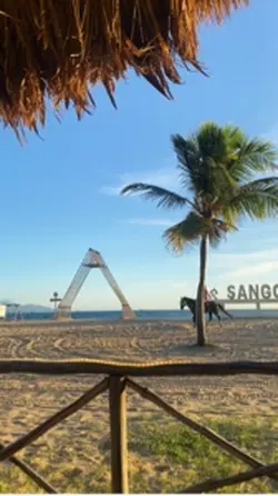 Video random