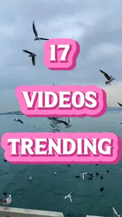 17 Videos Trending 