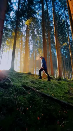 3 video aesthetic hd